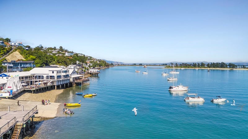 Robin Goetzke Real Estate Nelson Tasman a birds eye view of Nelson along Rock's Road looking from the port