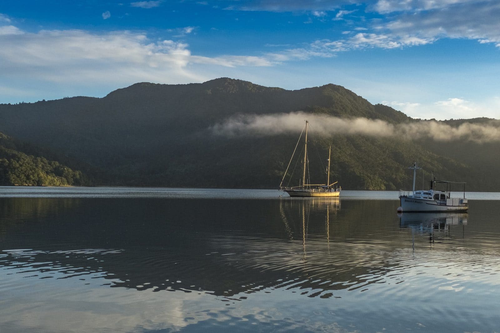 Boats moored on a still morning in Queen Charlotte Sound