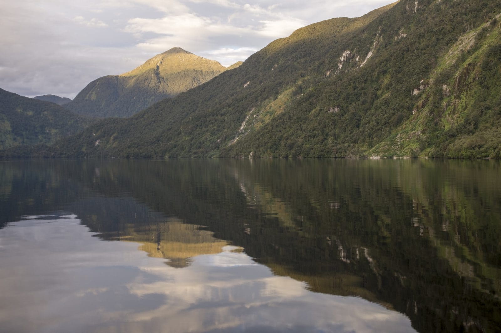 A perfectly still mirror lake in Fiordland