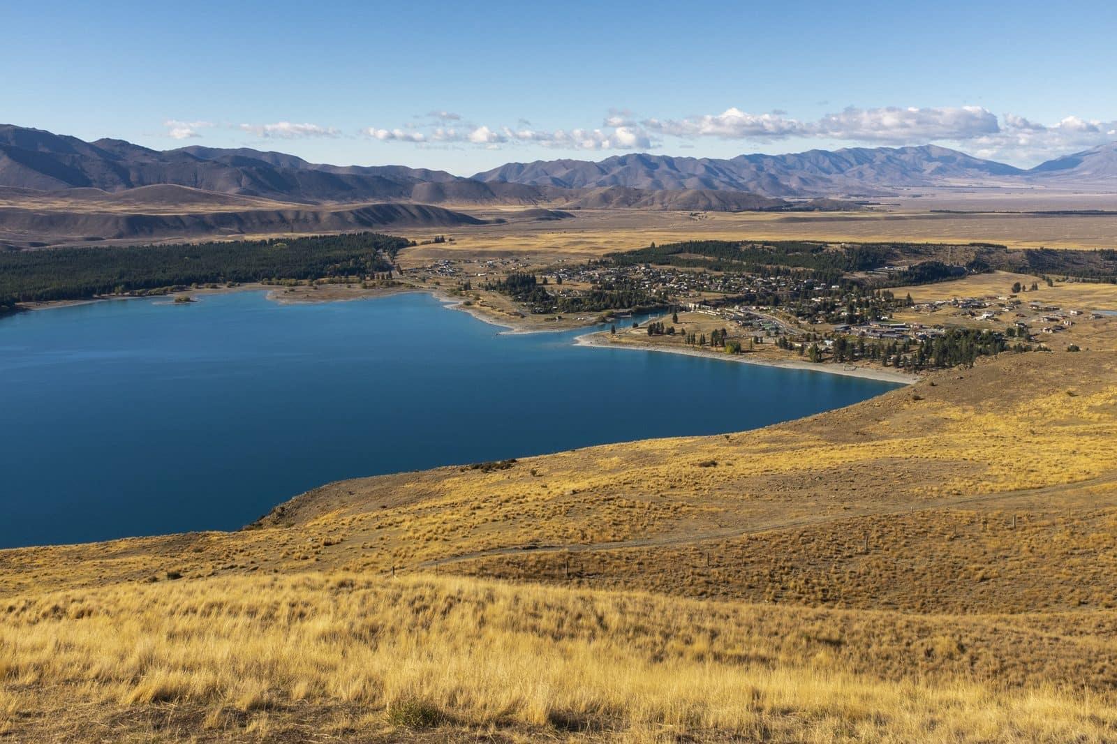 Lake Tekapo seen from the hills above, ringed by tussock