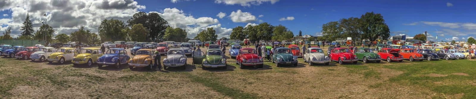 A gathering of classic VW Kombis and Beetles