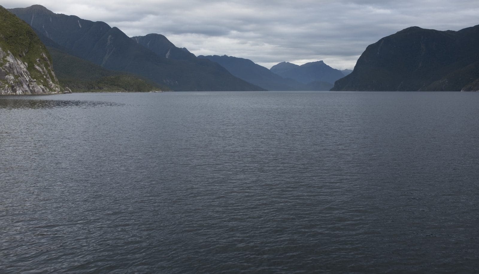 Steep forested walls dropping into the water at Doubtful Sound
