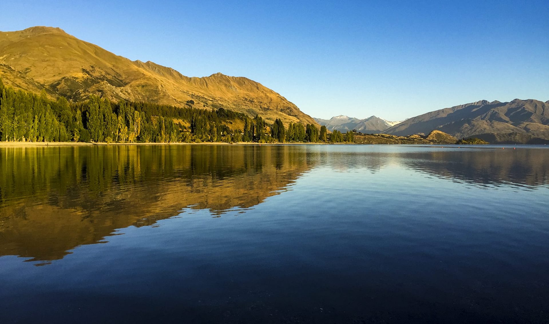 Lake Wanaka below golden tussock hills