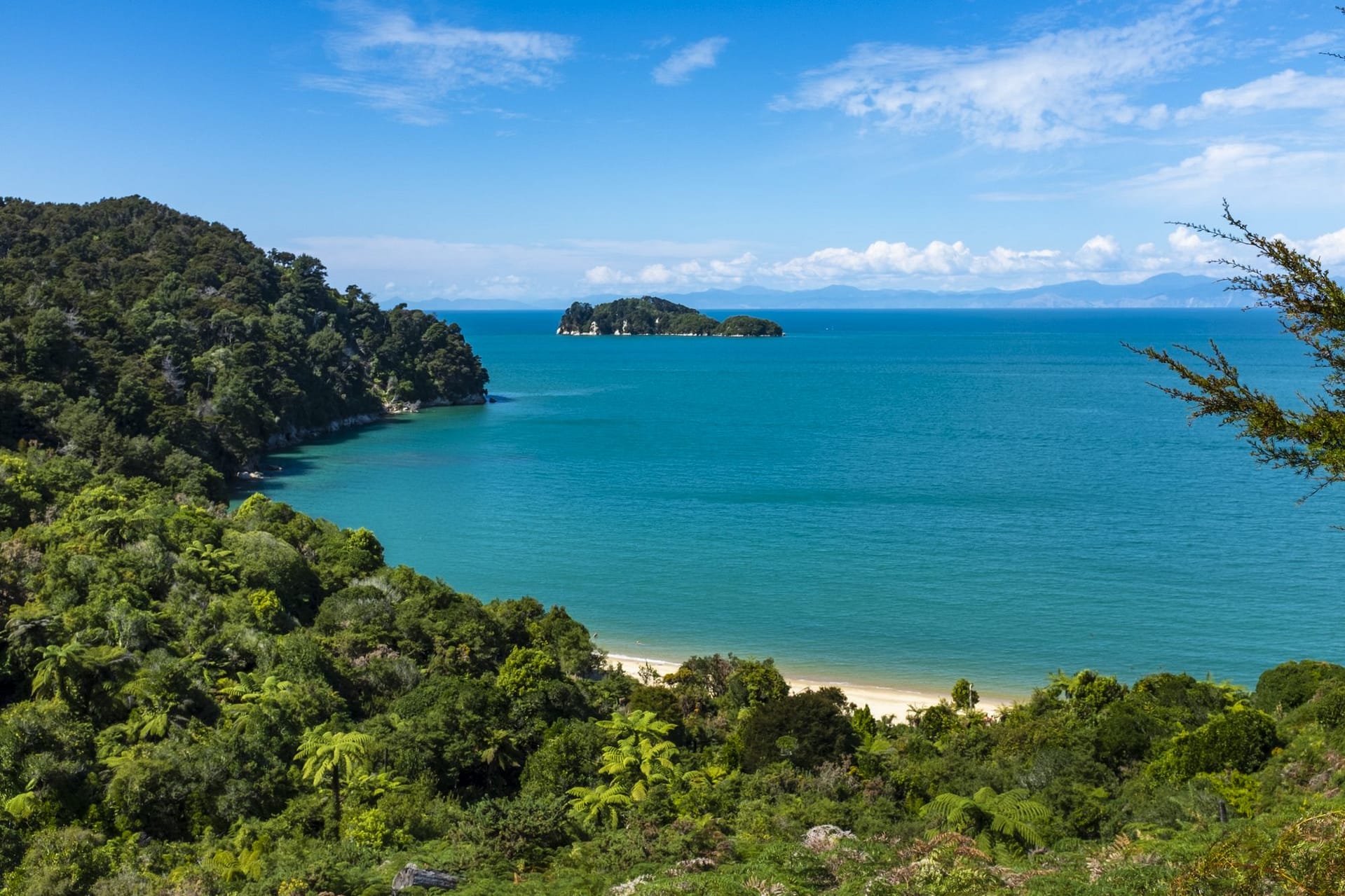 Golden sand and turquoise water in Abel Tasman National Park, New Zealand