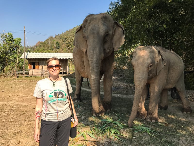 Happy New Year: 2018 OUR FOURTH YEAR TRAVELLING, REVIEWED IN RANDOM NUMBERS