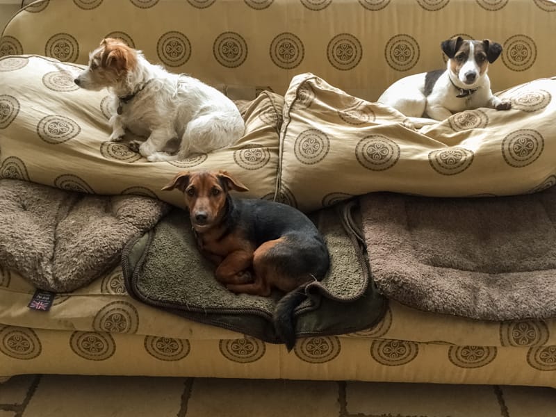 see no evil, hear no evil and the cute one...