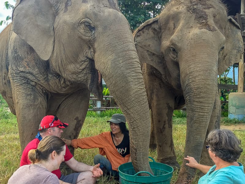 Feeding the elephants alongside Lek at the sanctuary